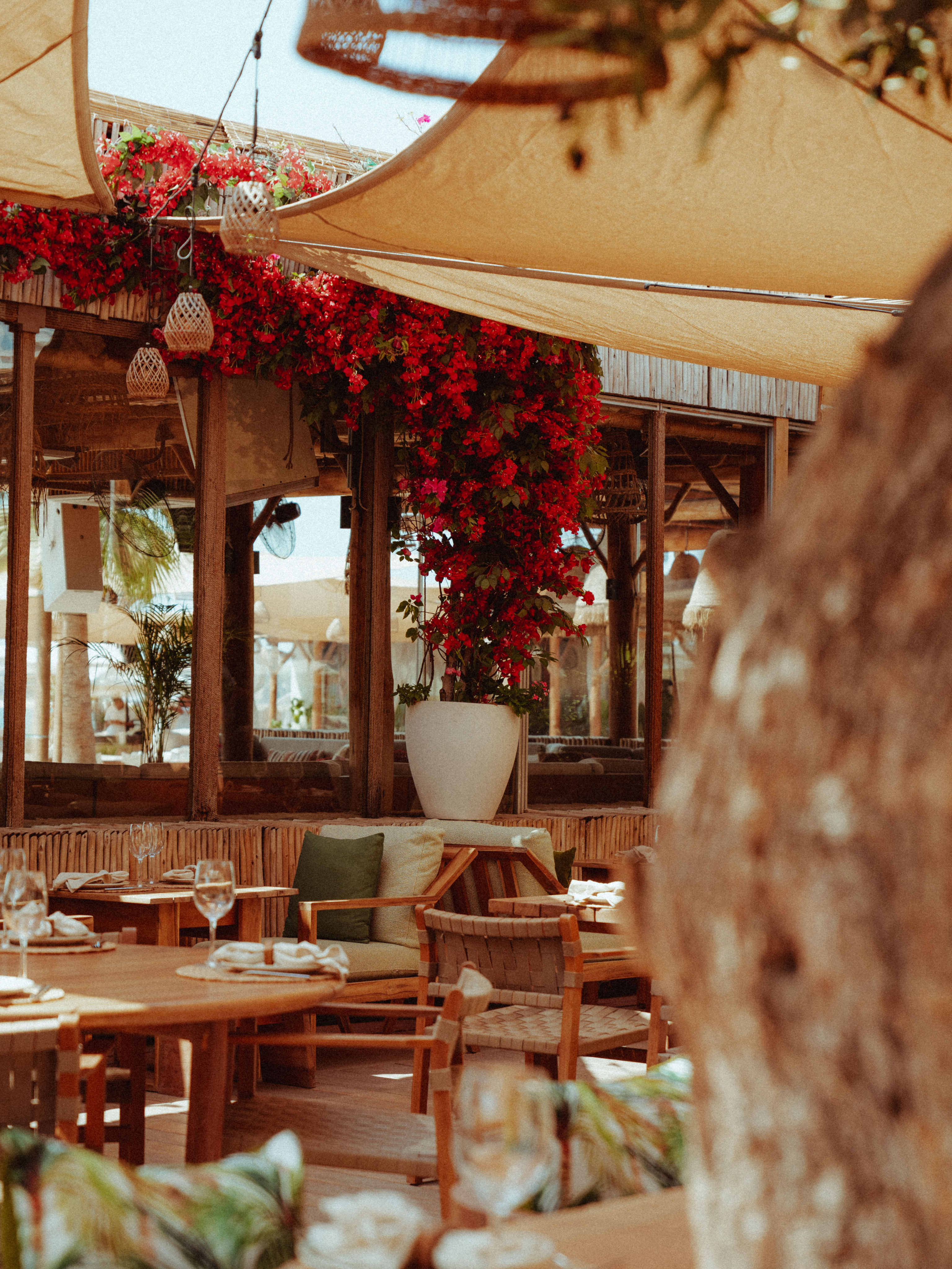 Surf Club dining — beach atmosphere